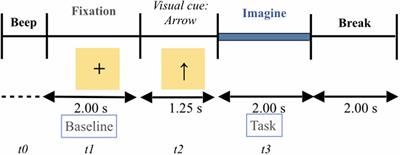 Neural Kinesthetic Contribution to Motor Imagery of Body Parts: Tongue, Hands, and Feet